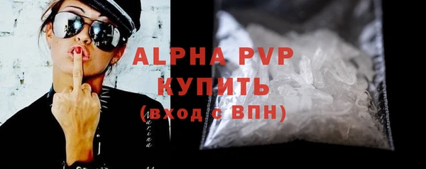 индика Алексин