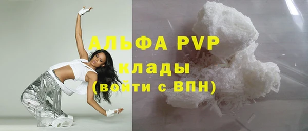 индика Алексин