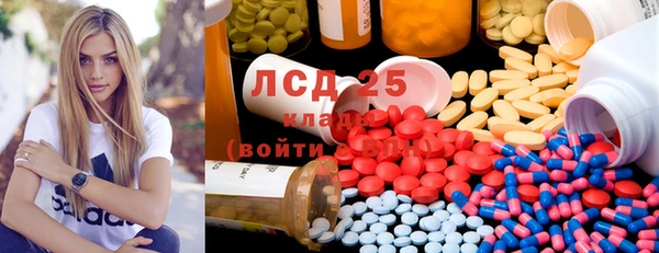 индика Алексин