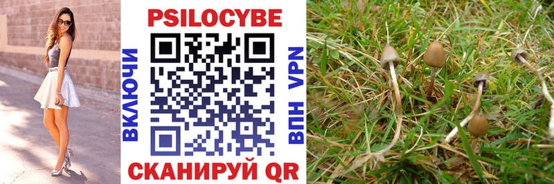 Псилоцибиновые грибы мухоморы  Артёмовский 